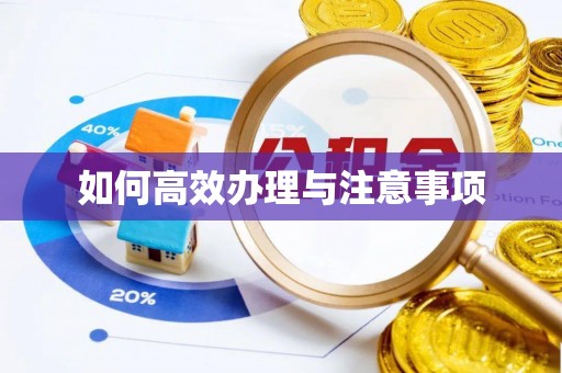 砀山如何高效办理与注意事项