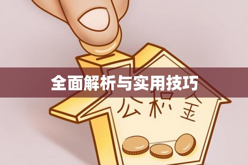 砀山全面解析与实用技巧