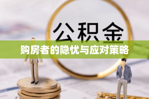 砀山购房者的隐忧与应对策略