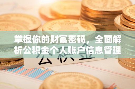 砀山掌握你的财富密码，全面解析公积金个人账户信息管理与优化
