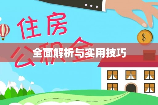 砀山全面解析与实用技巧