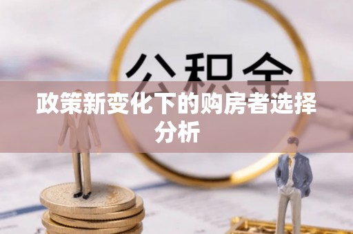 砀山政策新变化下的购房者选择分析