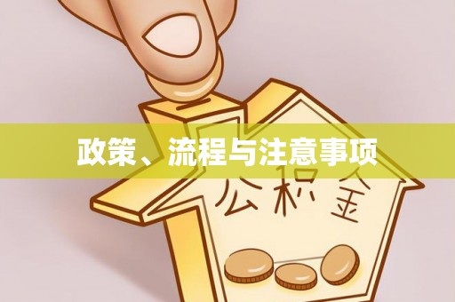 砀山政策、流程与注意事项