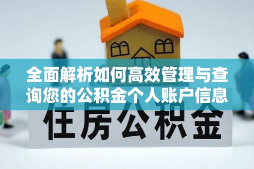 砀山全面解析如何高效管理与查询您的公积金个人账户信息