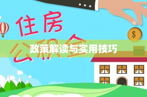 砀山政策解读与实用技巧