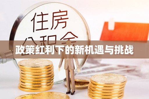 砀山政策红利下的新机遇与挑战