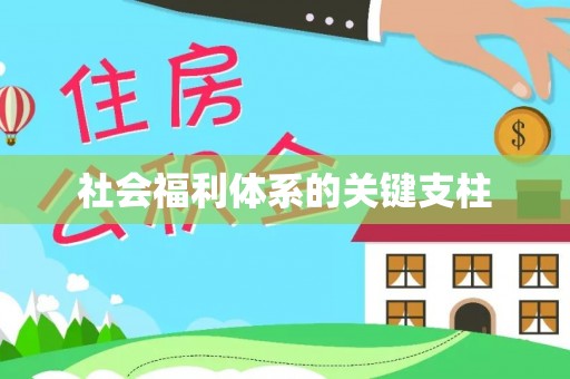 砀山社会福利体系的关键支柱