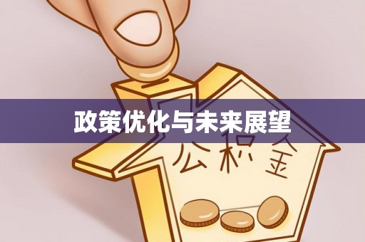 砀山政策优化与未来展望