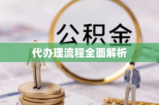 砀山代办理流程全面解析