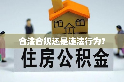 砀山合法合规还是违法行为？