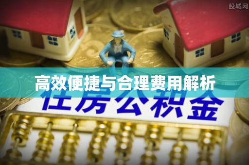 砀山高效便捷与合理费用解析