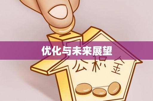 砀山优化与未来展望