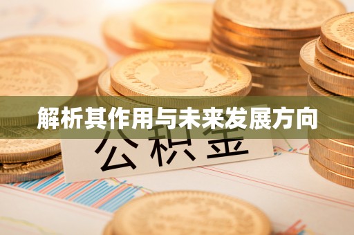 砀山解析其作用与未来发展方向