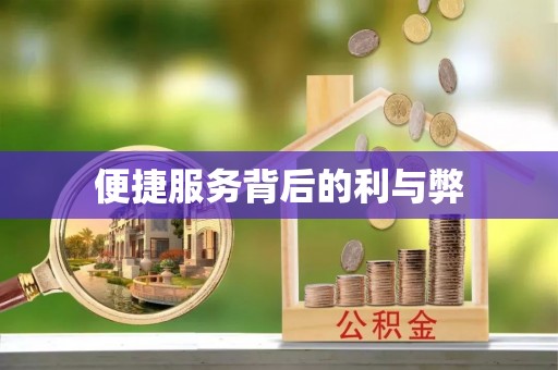 砀山便捷服务背后的利与弊