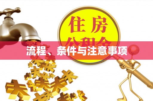 砀山流程、条件与注意事项