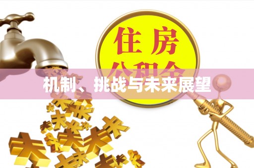 砀山机制、挑战与未来展望